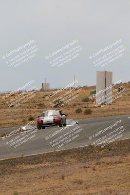 media/May-03-2025-Lucky Dog Racing (Sat) [[206de64b9d]]/Turn 6 (150pm-230pm)/